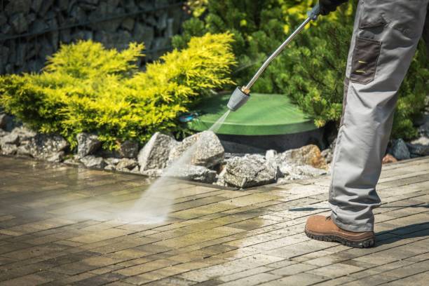Best Dumpster Area Cleaning  in Riverview Rk, PA
